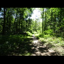 Nicht immer sind die Radwege geteert